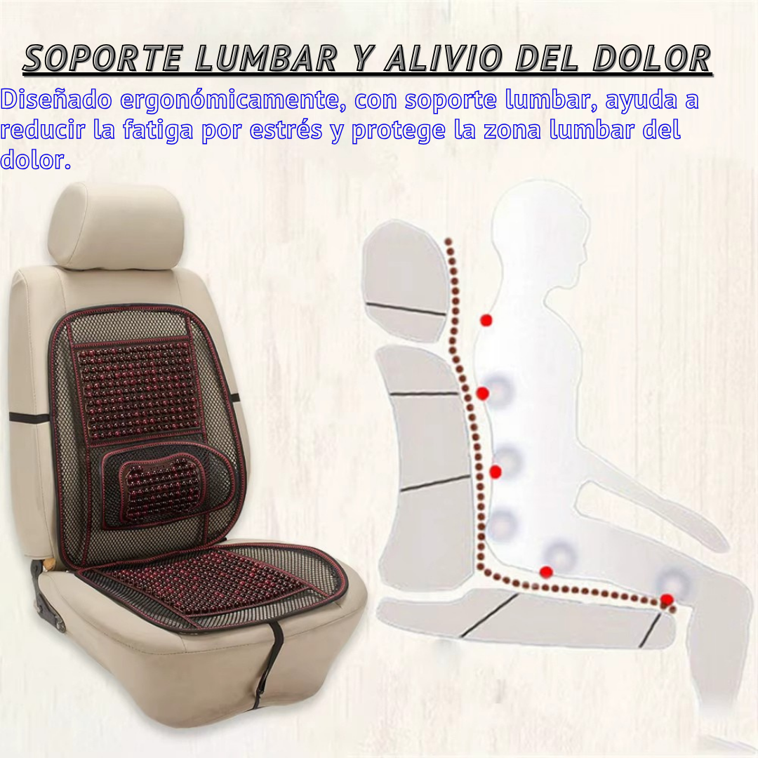 SILLA LUMBAR PARA ASIENTO DE CARRO